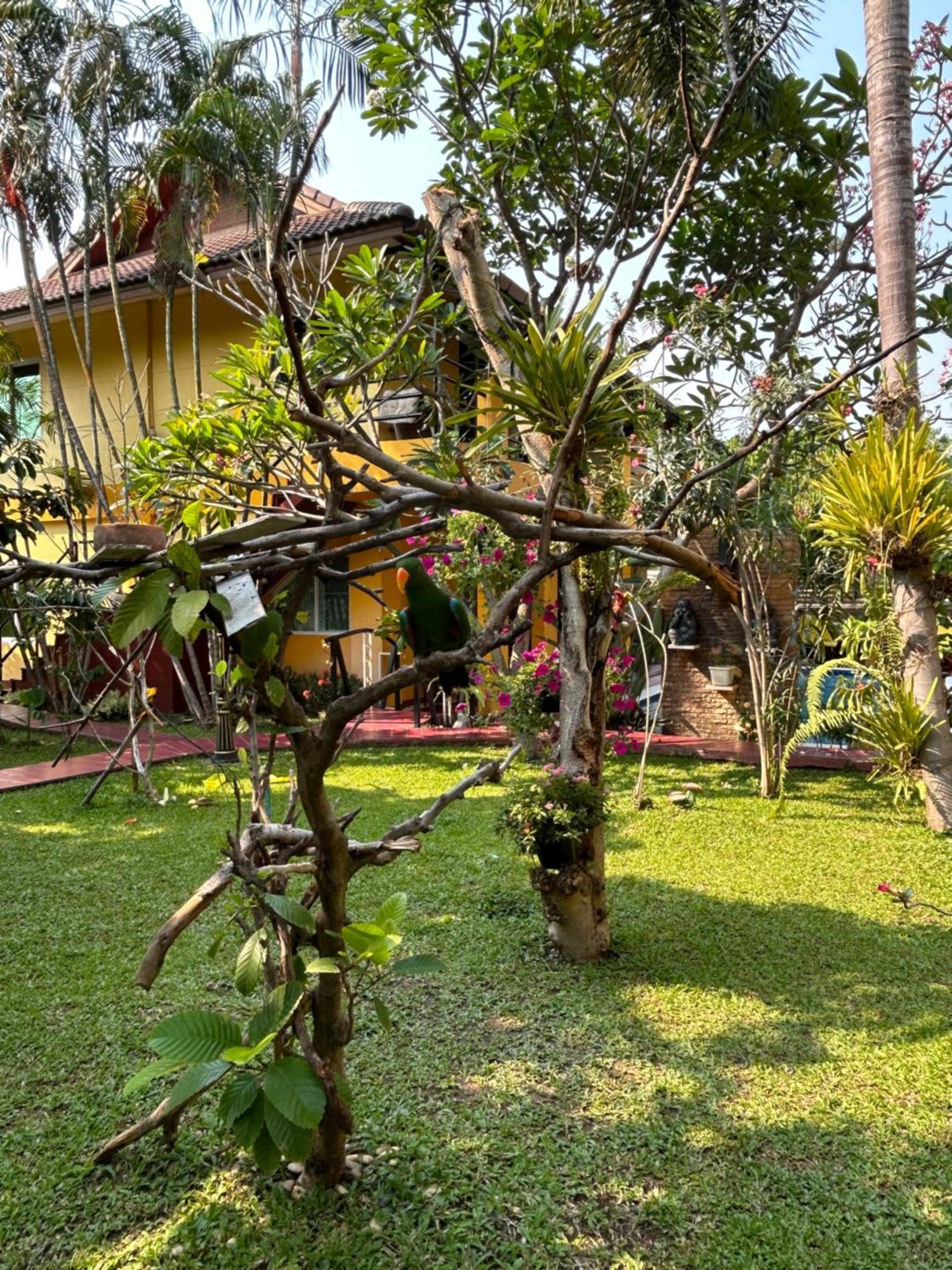 Lamduan Boutique Homestay Chiang Mai Exteriör bild